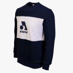 Blue / Grey Cotton-Poly Standard Fit Logo Pullover Sweater